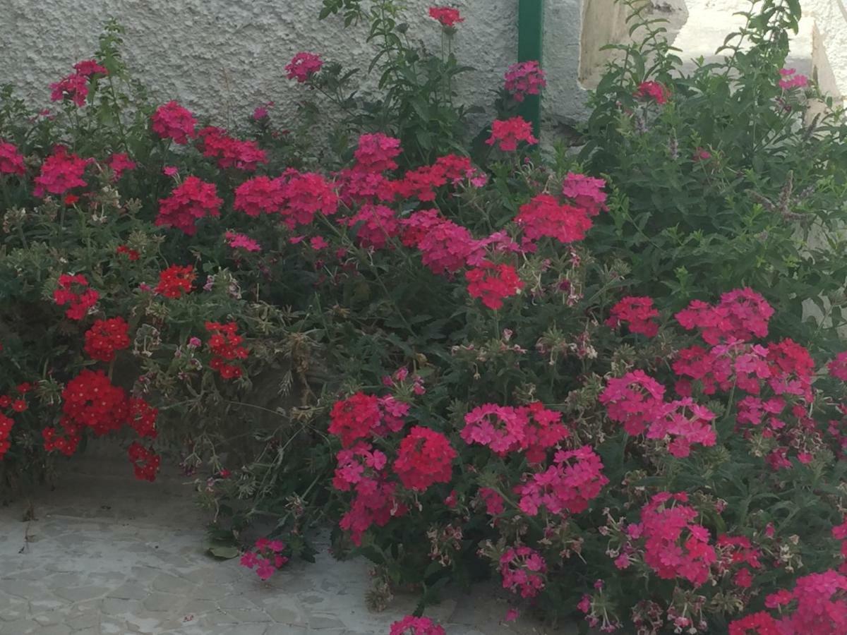 Apartament Casa Sul Mare - Wifi Free - Parcheggio Privato San Foca Zewnętrze zdjęcie